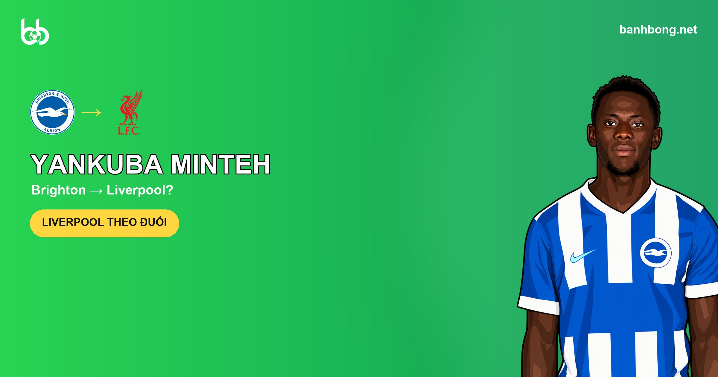 Liverpool theo đuổi Yankuba Minteh, Brighton từ chối đề nghị 60 triệu bảng